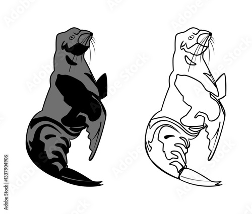 Antarctic Fur Seal.vector illustration isolated on white background