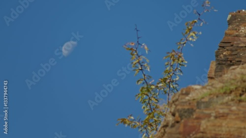 Half moon in a clear blue sky with blurred branches and rocky foreground. Minimalistic nature photography. Tranquility and space concept.
