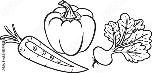 Hand drawn vector illustration of vegetables fruits and a flower