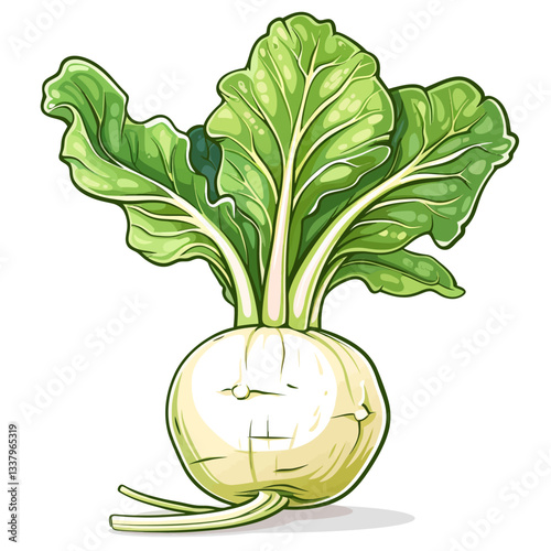 Kohlrabi 