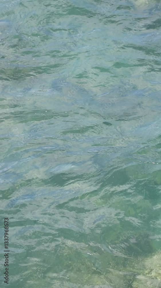 Gentle Ocean Waves on a Beach Gentle Ocean Waves on a Beach