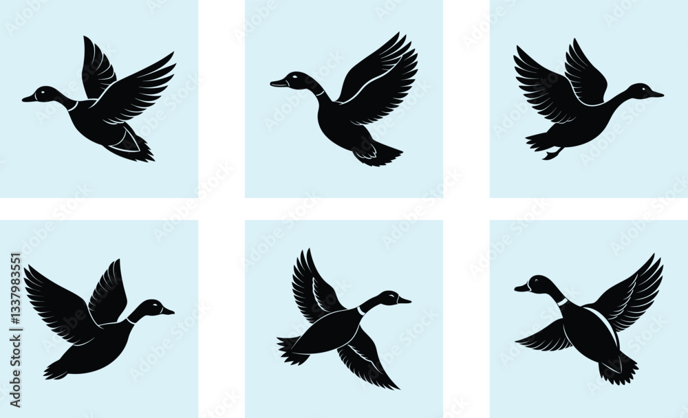 Obraz premium Flying Duck Silhouette vector