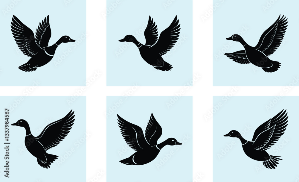 Obraz premium Flying Duck Silhouette vector