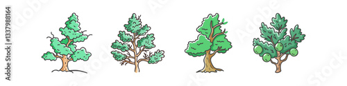 juniper tree icon, juniper tree vector illustration-simple illustration of juniper tree, perfect for juniper tree logos and icons