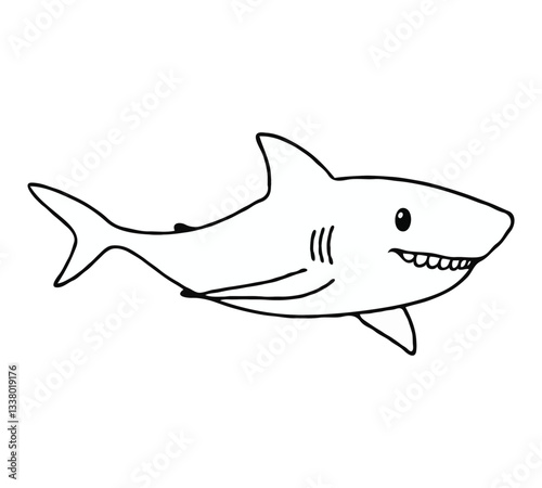 vector illustration of shark