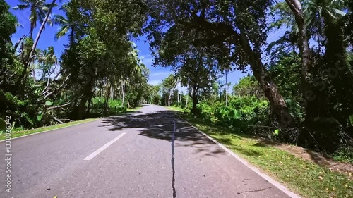 Scenic tropical road with lush greenery and palm trees under a clear blue sky