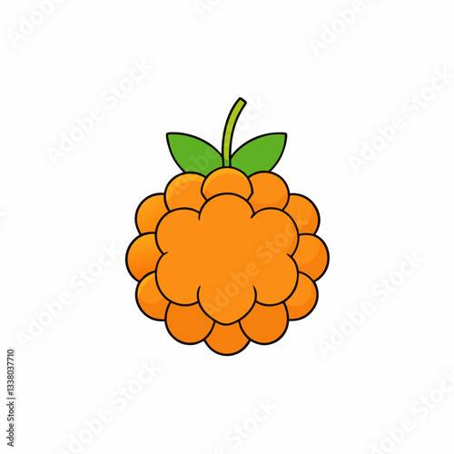 vector illustration of a cloudberry