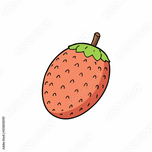 marang fruit on white background