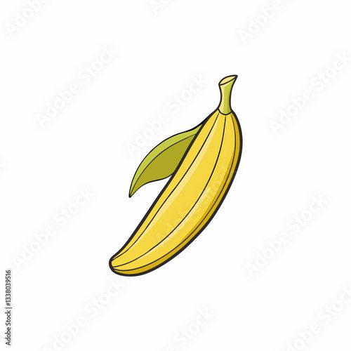 plantain vector illustration