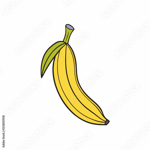 plantain vector illustration