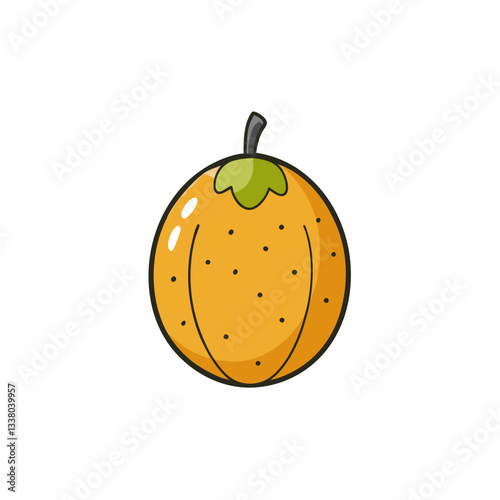 santol fruit on white background