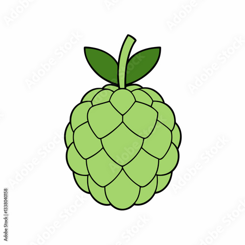 sugar apple isolated on white