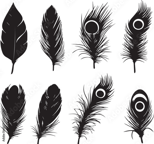 set of peacock feather icons