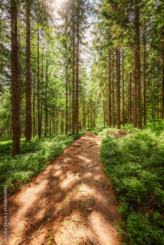 Pilsko Ski Resort, located on the border of Slovakia and Poland, offering scenic tourist trail on Pilsko Mountain in the Beskids, Poland Pilsko Ski Resort, located on the border of Slovakia and Poland, offering scenic tourist trail on Pilsko Mountain in the Beskids, Poland