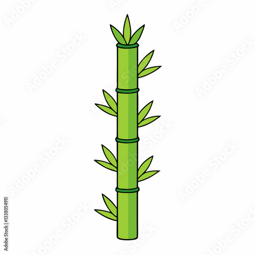 bamboo isolated on white background