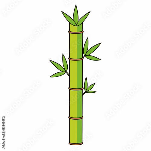 bamboo isolated on white background