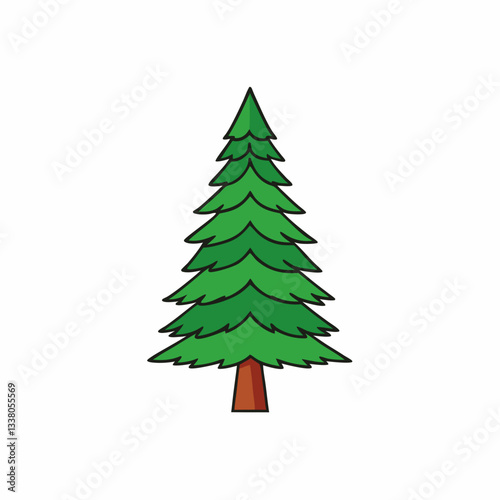 cedar tree vector illustration
