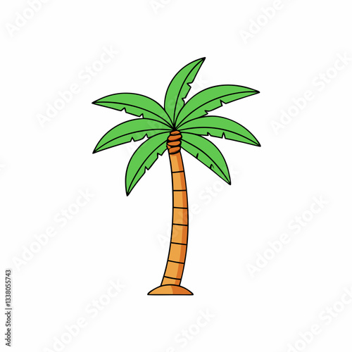 coconut palm tree