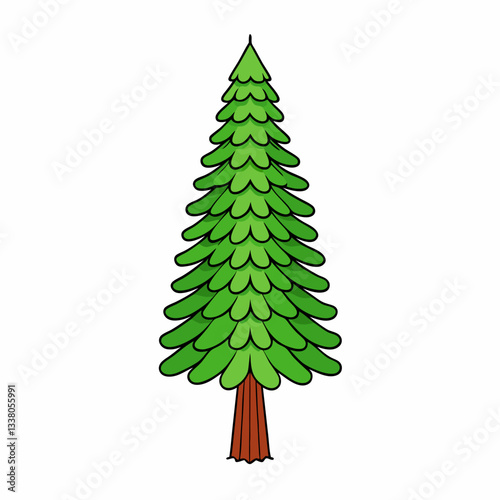 vector illustration of a dawn redwood tree