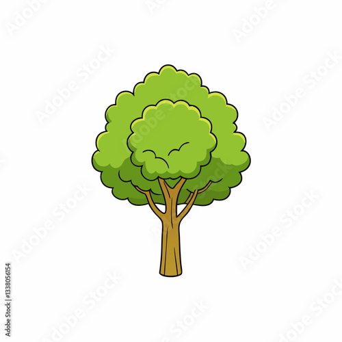 elm tree isolated on white