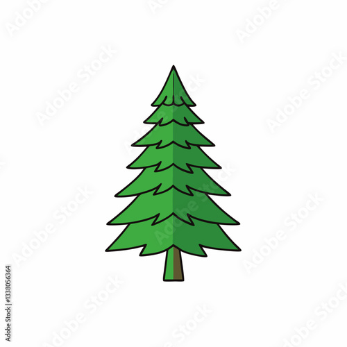 hemlock tree vector illustration
