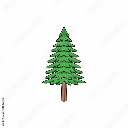 norfolk island pine tree isolated on white