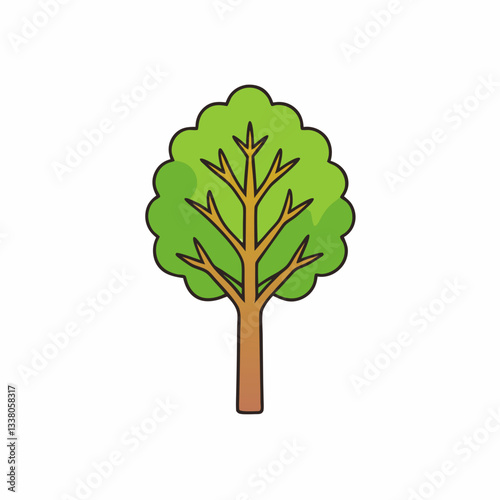 sandalwood tree isolated on white