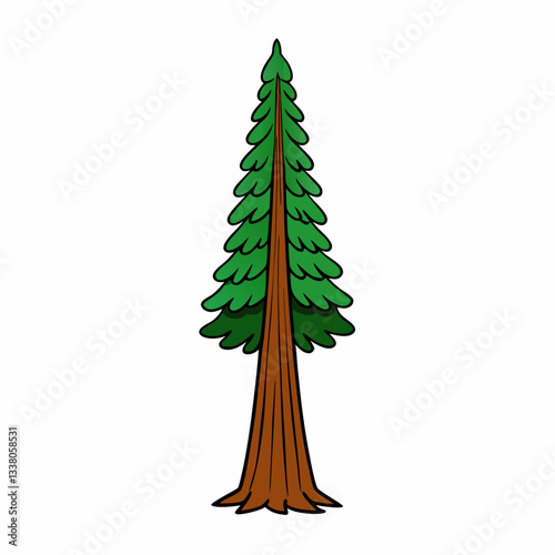 sequoia tree isolated on white