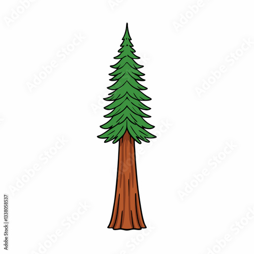 sequoia tree isolated on white