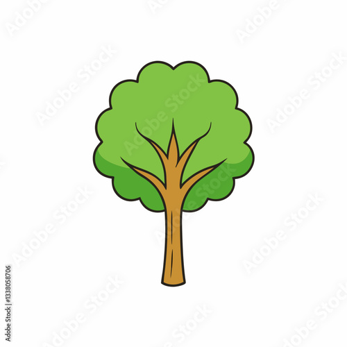 sycamore tree isolated on white
