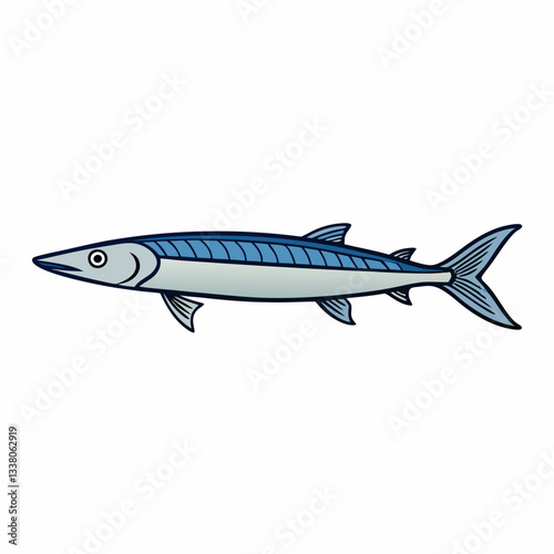 barracuda fish isolated on white background