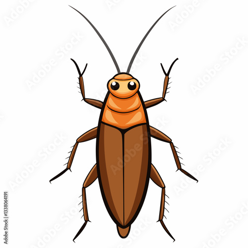 cockroach isolated on white background