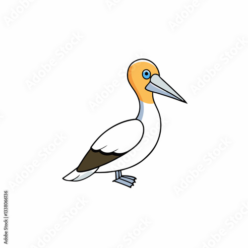 gannet isolated on white background