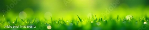 Close-up of morning dew drops on vibrant green grass in spring bokeh, grass, bokeh