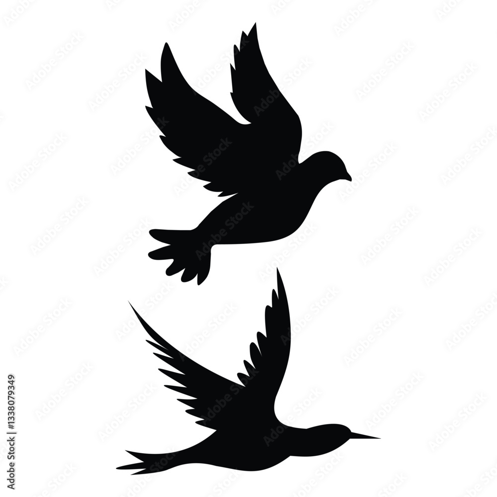 Fototapeta premium bird flying silhouette