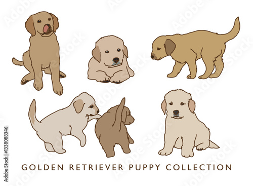 Golden Retriever Puppies Color Illustrations
