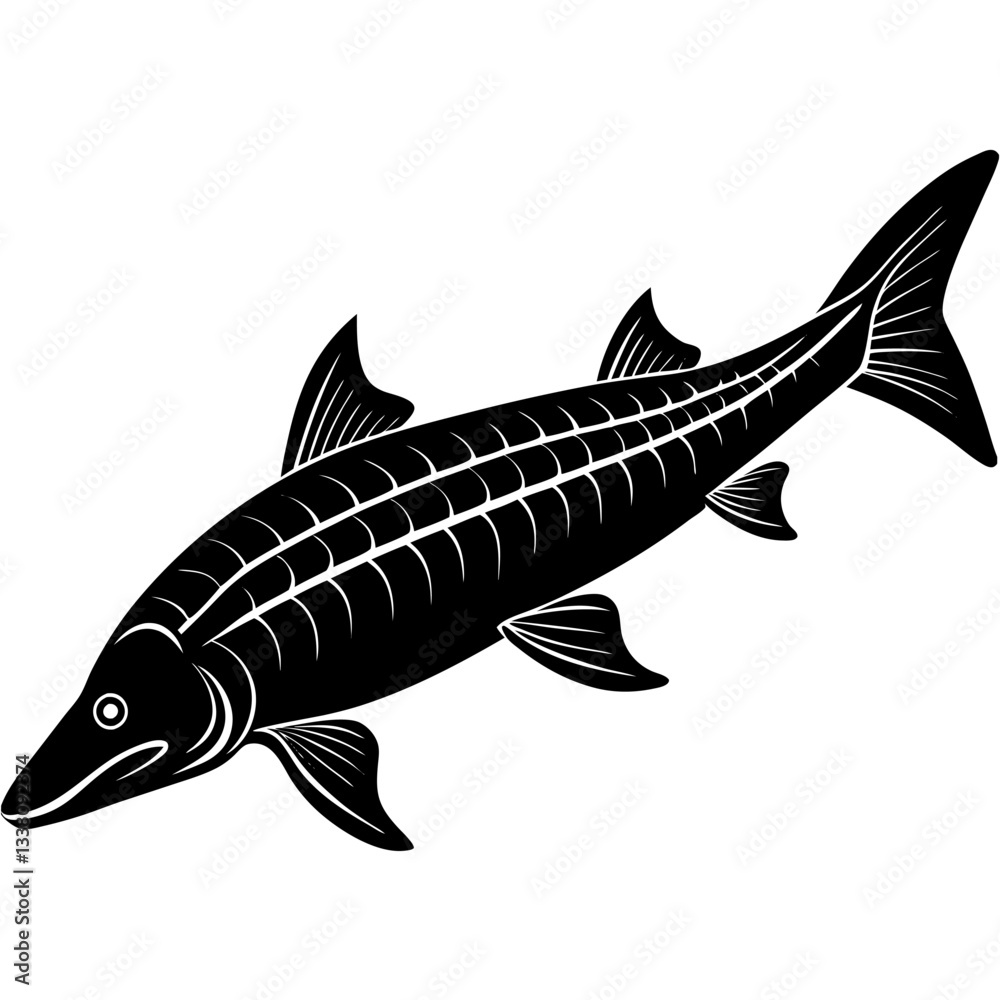 Obraz premium sturgeon silhouette