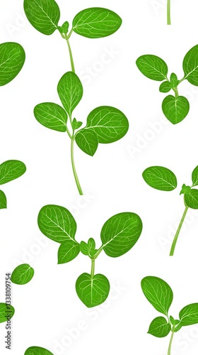 Lush green oregano plant leaves repeat pattern ideal for bioenergy plant research illustrating sustainable biofuel production from organic resources and renewable energy.
