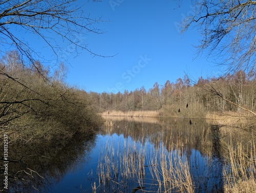 A tranquil lake reflects a clear blue sky and bare trees, framed by branches in the foreground, suggesting the onset of spring 