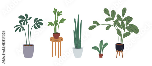 Houseplants set. Tall potted plants with green foliage. Home and office indoor leaf decoration in planter. Modern natural interior room greenery. Flat vector illustrations isolated on white background