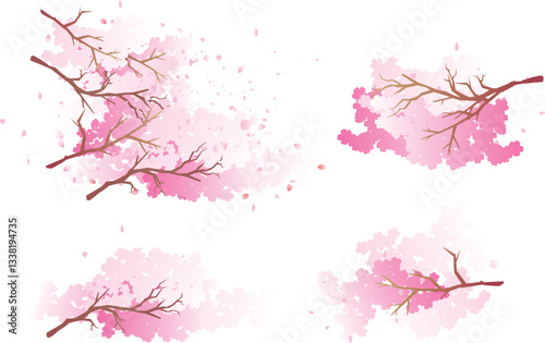 春の桜の花びら
