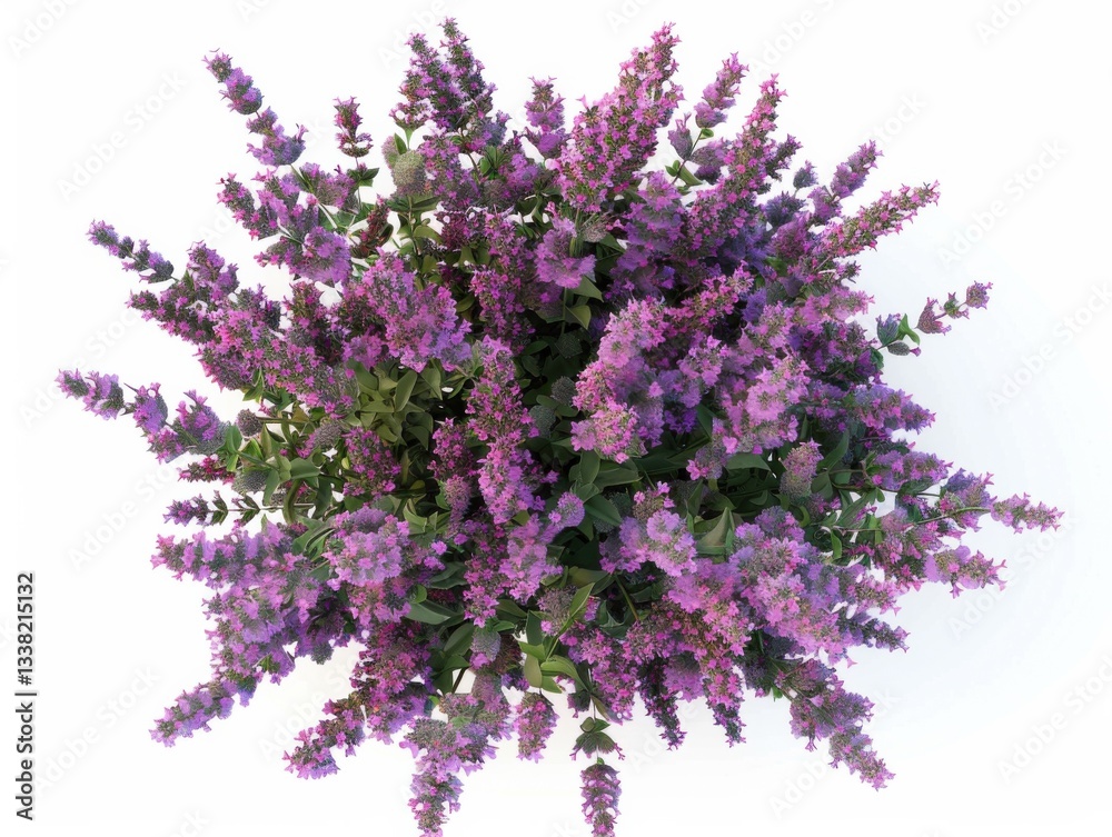 Obraz premium Highresolution lavender bouquet on plain white background commercial photography