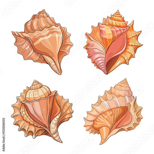 Realistic Sea Conch Shells