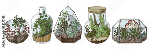 Florariums hand drawn vector set