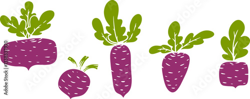 Vector illustration of beet in cartoon flat style different shapes. Set of fresh vegetables plants for healthy food. Collection design elements for child textile print, stamp, kids education book.