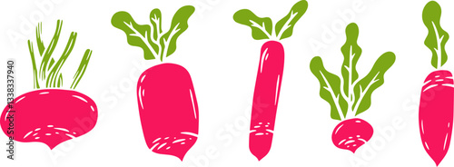 Vector illustration of radish in cartoon flat style different shapes. Set of fresh vegetables plants for healthy food. Collection design elements for child textile print, stamp, kids education book.