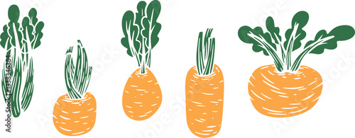 Vector illustration of celery root in cartoon flat style different shapes. Set of fresh vegetables plants for healthy food. Collection design elements for child textile print, stamp, kids book.