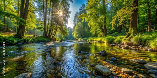 Woods Creek Cutthroat Trout Habitat Restoration - Oregon's Revitalized River