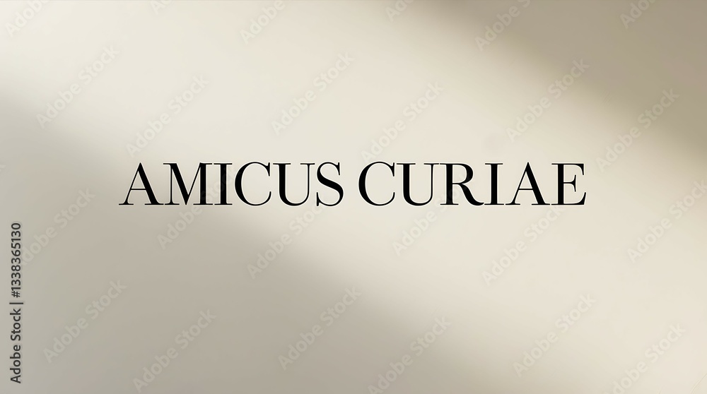 Text displaying the phrase Amicus Curiae against a neutral background in an indoor setting Text displaying the phrase Amicus Curiae against a neutral background in an indoor setting