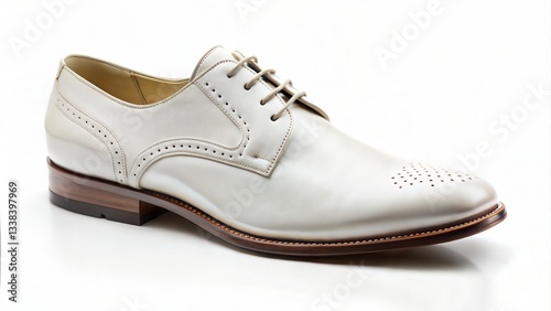 Wallpaper Mural Leather Lace-Up Dress Shoe. Torontodigital.ca